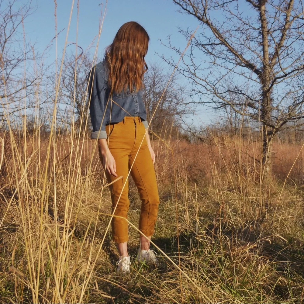 SOLD | Embroidered Everlane Slim Leg Crop | Size 00 | Brass/Mustard Brown - Picture 8 of 9